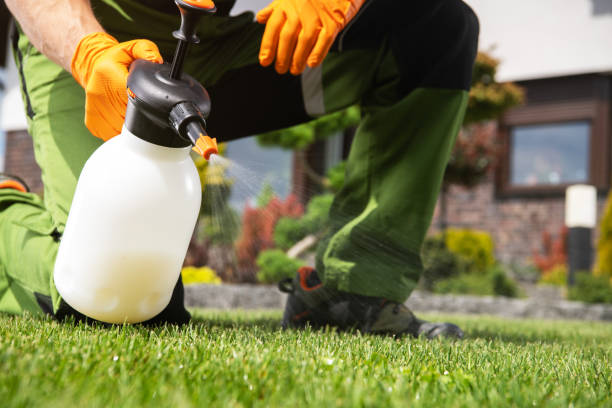 Best Lawn Pest Control  in Mexico, MO